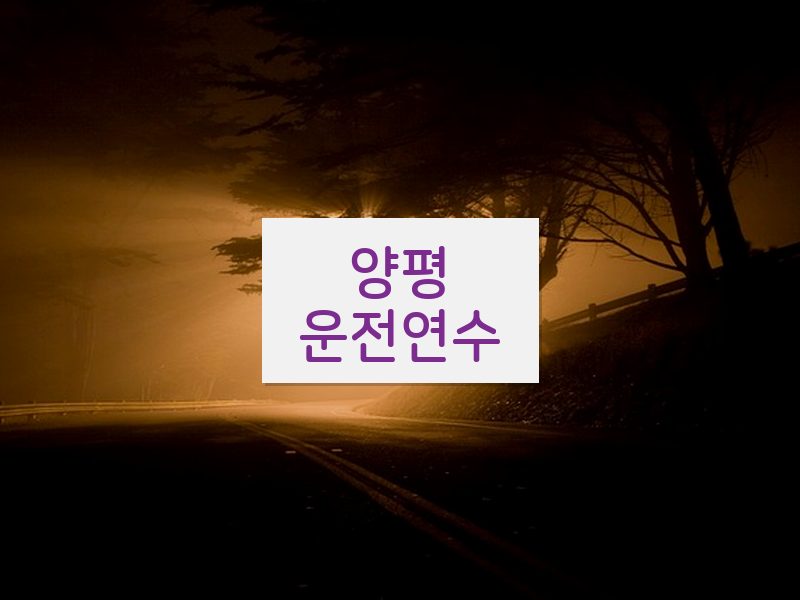양평운전연수 후기