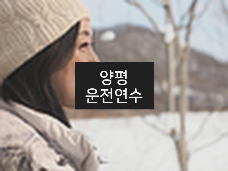 양평운전연수 후기