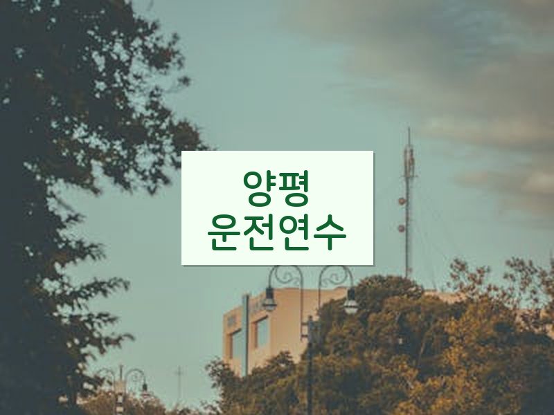 양평운전연수 후기