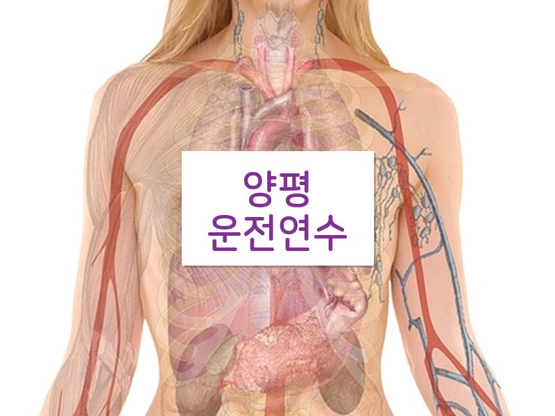 양평운전연수 후기