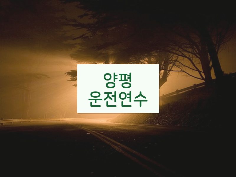 양평운전연수 후기
