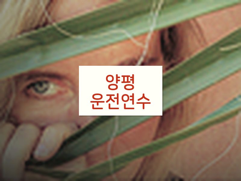 양평운전연수 후기