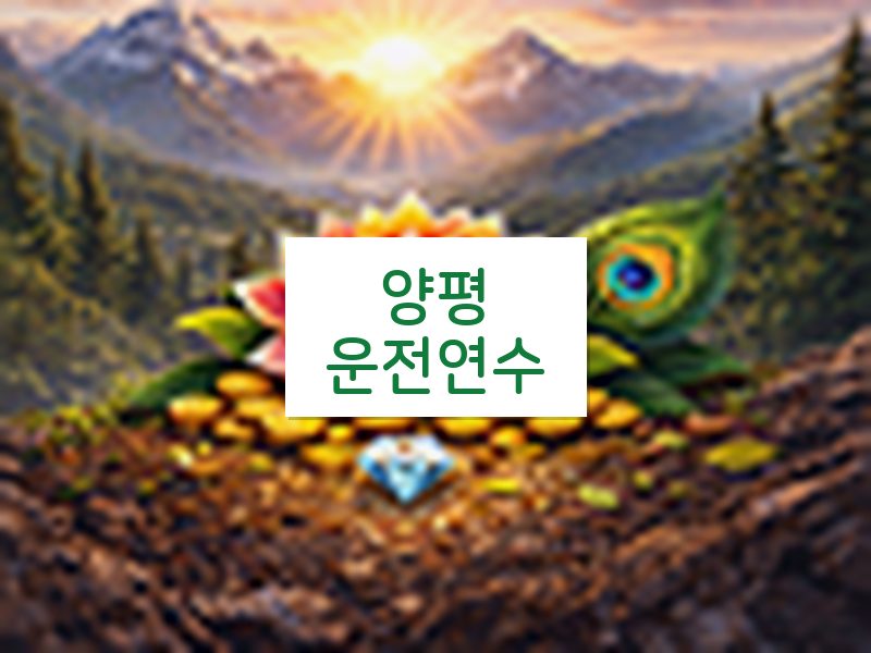 양평운전연수 후기