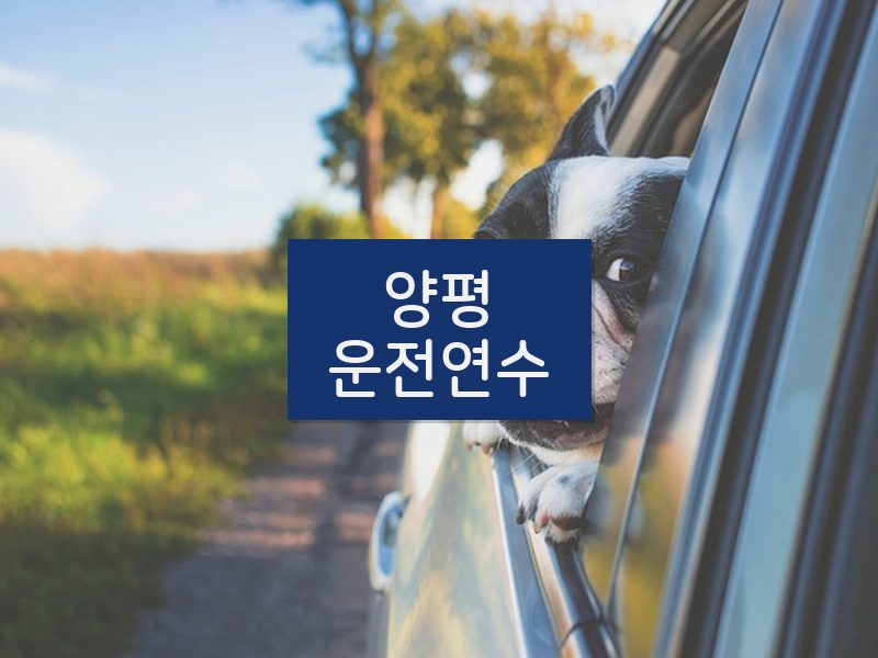 양평운전연수 후기