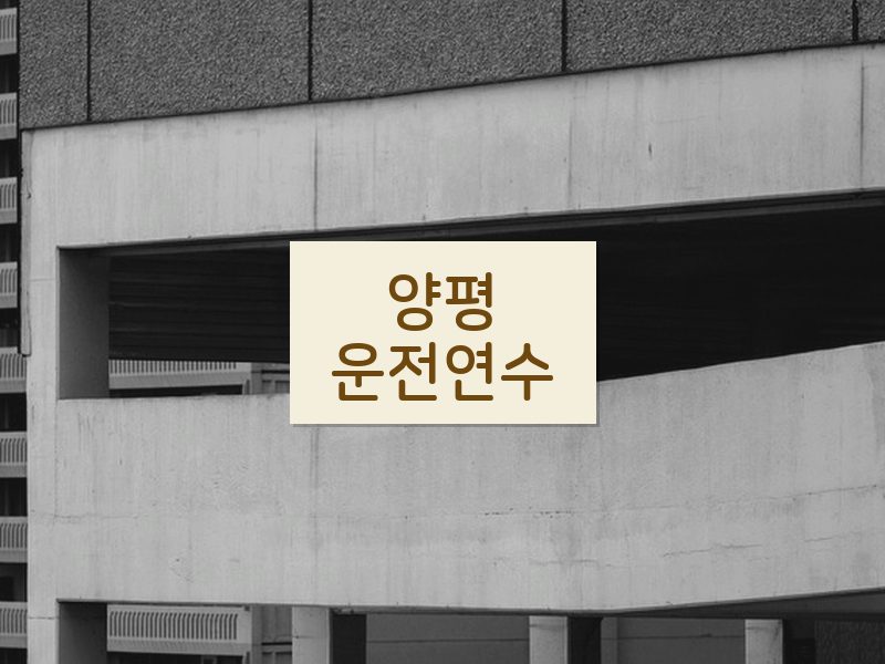 양평운전연수 후기