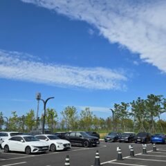 10년 장롱면허 드디어 졸업