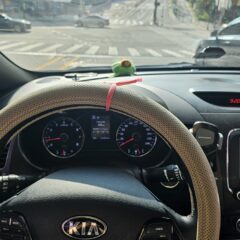 터널 주행 혼란스러워요