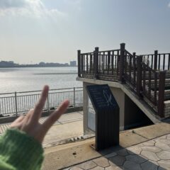 자차 운전으로 남편 스케줄 벗어나요