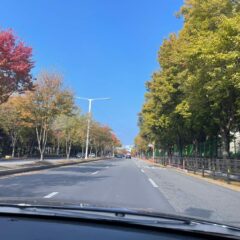 5일 속성 코스 완료!