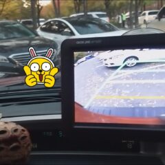 자차 운전으로 남편 스케줄 벗어나요