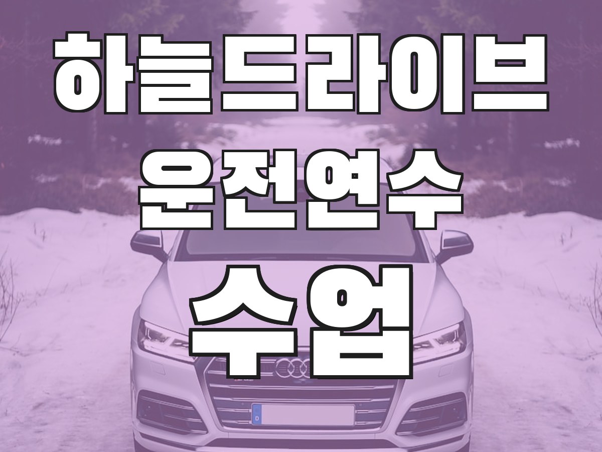 하늘드라이브 운전연수 수업 - 맞춤 연수 프로그램