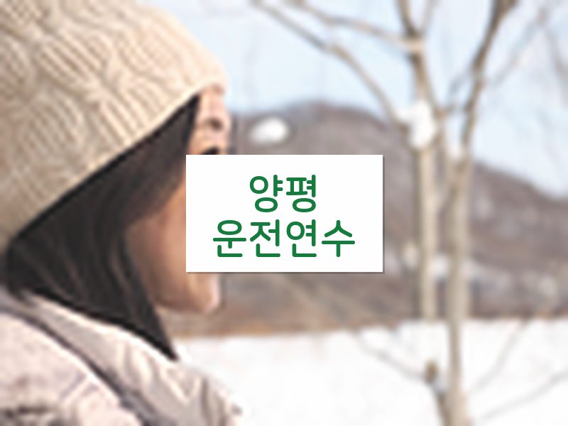 양평운전연수 후기
